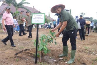 Senam Bersama dan Penanaman Bibit, Pj Gubernur Sugito Rayakan HUT Kepulauan Bangka Belitung Dengan Penuh Semangat