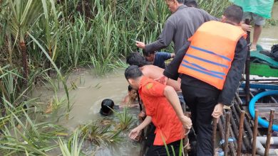 Breaking News: Penambang Timah di Belitung Tewas Diterkam Buaya
