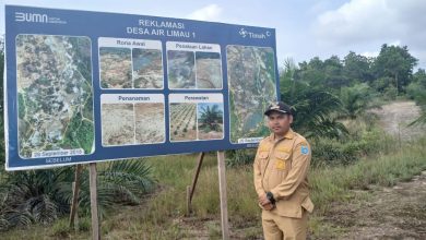 PT Timah Gandeng Pemdes Air Limau Sulap Lahan Eks Tambang Jadi Kawasan Perkebunan
